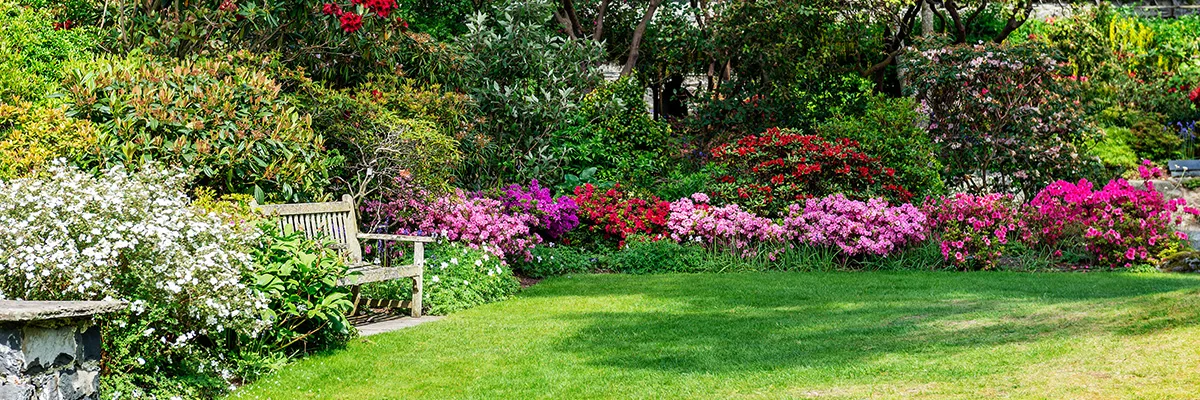 Flower & Garden Maintenance | SMG Landscaping